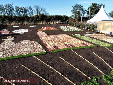 La France - Foeli Flore de  Mulhouse 