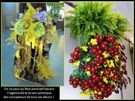 La France - Foeli Flore de  Mulhouse 