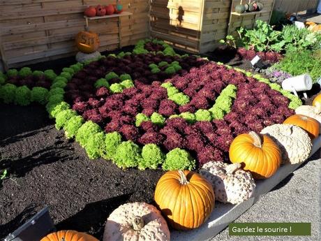 La France - Foeli Flore de  Mulhouse 