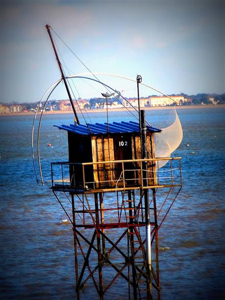 en vitrine en vitrine