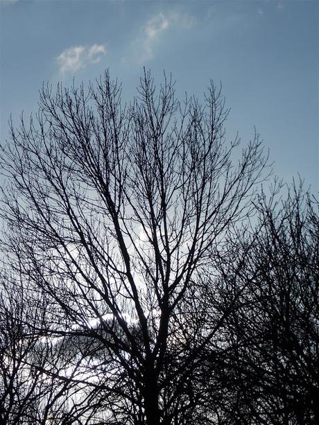 en vitrine en vitrine