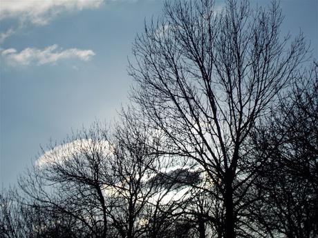 en vitrine en vitrine