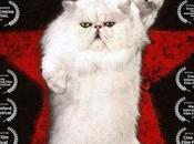 sorties mercredi janvier.