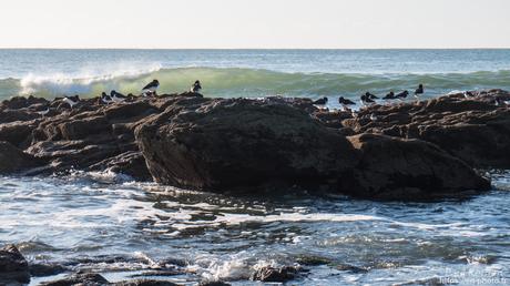 qu'il était beau, cet arc en ciel ! à #Quimper #Bretagne #Finistère qu'il était beau, cet arc en ciel ! à #Quimper #Bretagne #Finistère