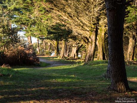 qu'il était beau, cet arc en ciel ! à #Quimper #Bretagne #Finistère qu'il était beau, cet arc en ciel ! à #Quimper #Bretagne #Finistère