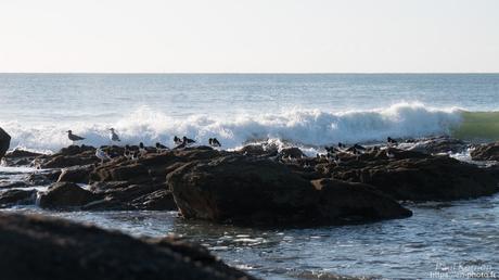 qu'il était beau, cet arc en ciel ! à #Quimper #Bretagne #Finistère qu'il était beau, cet arc en ciel ! à #Quimper #Bretagne #Finistère