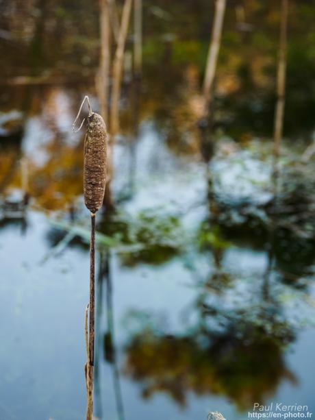 qu'il était beau, cet arc en ciel ! à #Quimper #Bretagne #Finistère qu'il était beau, cet arc en ciel ! à #Quimper #Bretagne #Finistère