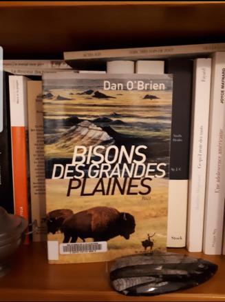 Dan O’Brien – Bisons des Grandes Plaines ***