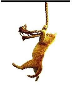 C’est lundi, que lisez-vous ?