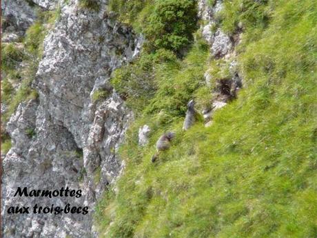 La France - La Drôme passionnément - 1