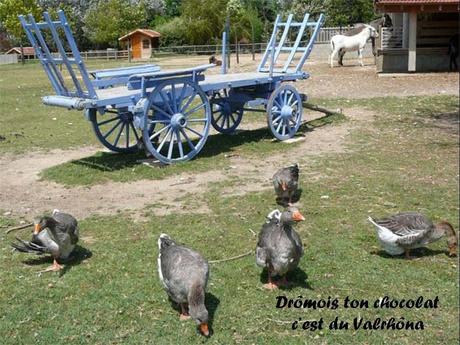 La France - La Drôme passionnément - 1