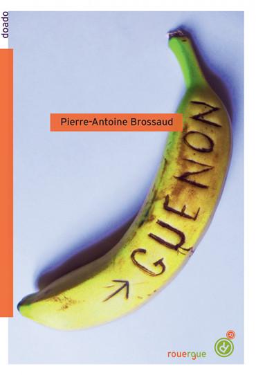 Pierre-Antoine Brossaud – Guenon ** Pierre-Antoine Brossaud – Guenon **