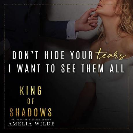 King of Shadows – Amelia Wilde (Lecture en VO)