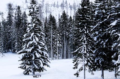 Dolomites en hiver : le kiff absolu d’un road trip en fourgon Dolomites en hiver : le kiff absolu d’un road trip en fourgon