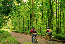 What’s new in the Bigrosphere? [1]