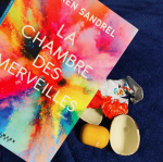 [Bilan mensuel] • Janvier • 2020/01