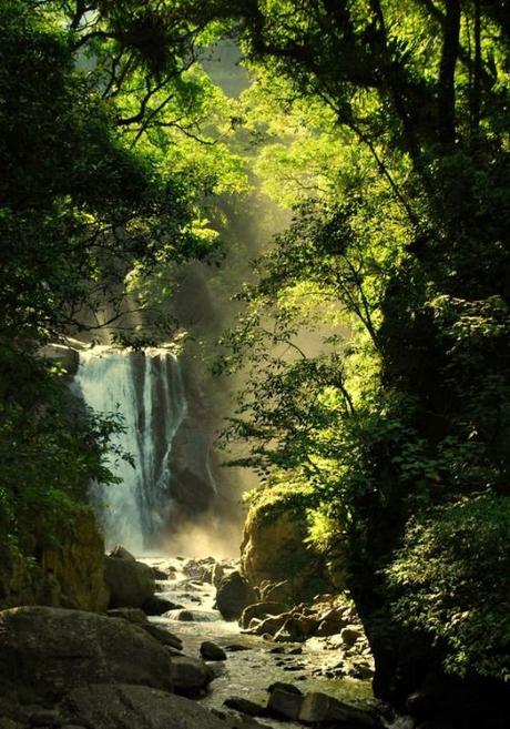 silvaris:    waterfall by Taylor Chang