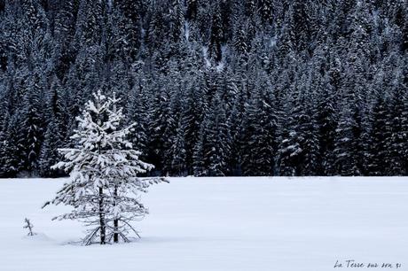 Que voir dans les Dolomites en hiver ? 6 spots à ne pas rater ! Que voir dans les Dolomites en hiver ? 6 spots à ne pas rater !