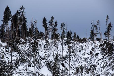 Que voir dans les Dolomites en hiver ? 6 spots à ne pas rater ! Que voir dans les Dolomites en hiver ? 6 spots à ne pas rater !