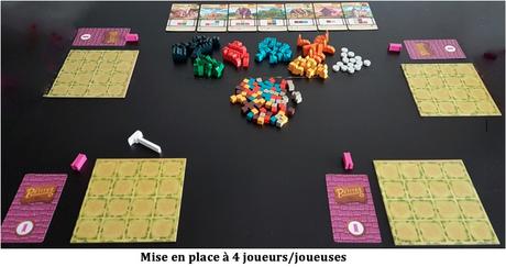 Test de Les Petites Bourgades, Tiny Towns, de Peter McPherson chez Lucky Duck Games