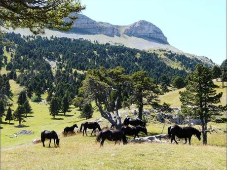 La France - La Drôme passionnément - 2
