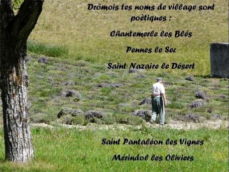 La France - La Drôme passionnément - 2