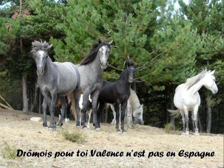 La France - La Drôme passionnément - 2