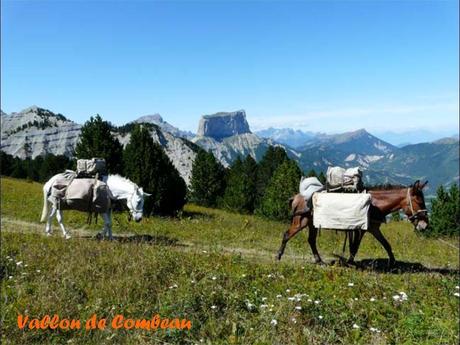 La France - La Drôme passionnément - 2