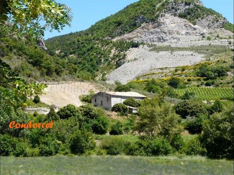 La France - La Drôme passionnément - 2