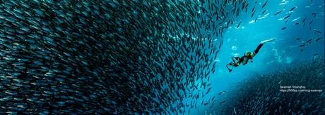 Les bandeaux et citations publiés sur libellules.ch en février 2020 Les bandeaux et citations publiés sur libellules.ch en février 2020