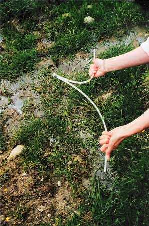 Sourcier et géobiologie