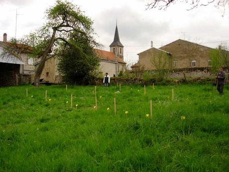 Sourcier et géobiologie