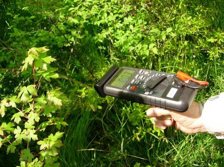 Sourcier et géobiologie