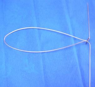 Sourcier et géobiologie