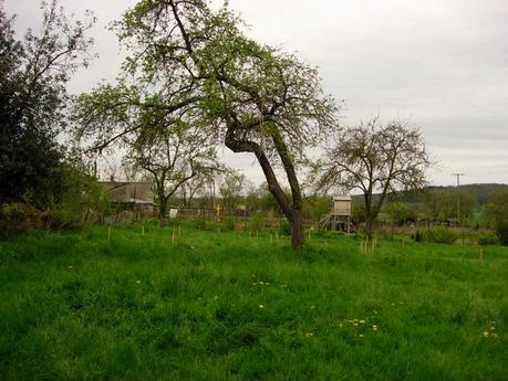 Sourcier et géobiologie