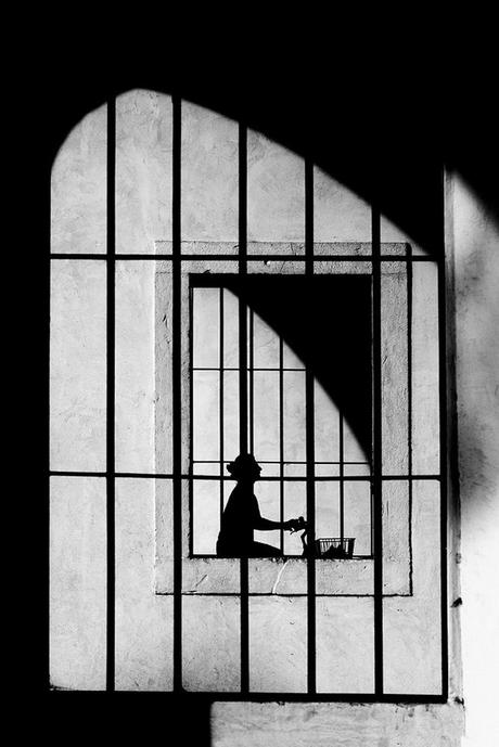 Massimo Della Latta. Bicicletta. 2015