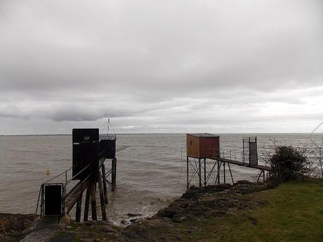 pouvez répéter la question