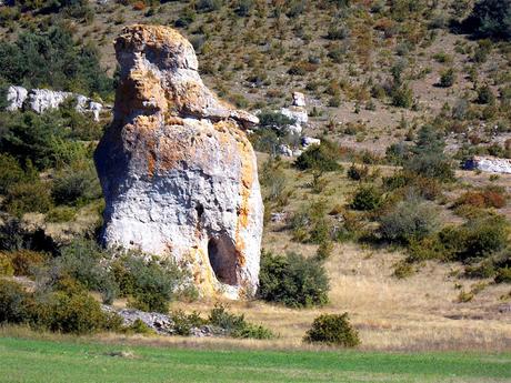 pouvez répéter la question