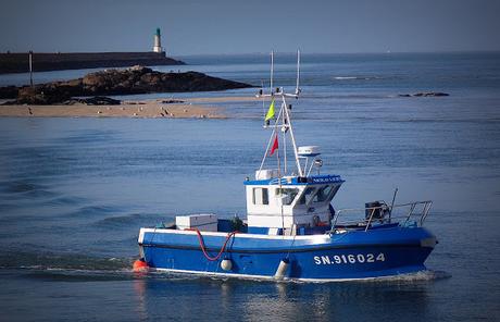 pouvez répéter la question