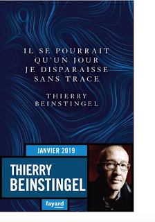 Il se pourrait qu'un jour je disparaisse sans trace · Thierry Beinstingel