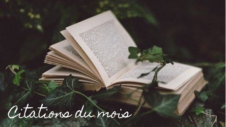 Citations du mois – Janvier 2020