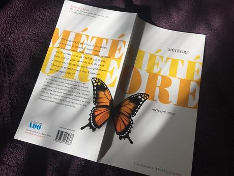 Météore – Antoine Dole