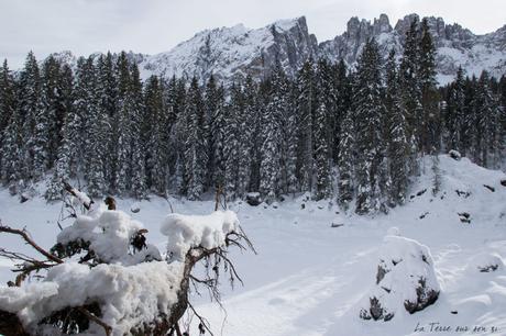 Lac de Carezza Dolomites : 1er spot de mon road-trip en van Lac de Carezza Dolomites : 1er spot de mon road-trip en van