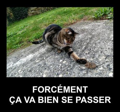 Hausse continue de la violence en France : ce débat qui n’existe pas Hausse continue de la violence en France : ce débat qui n’existe pas