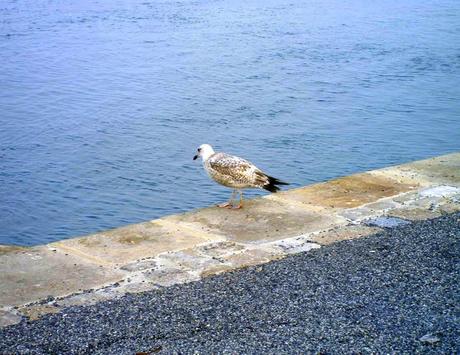 l'Eure sur un plateau