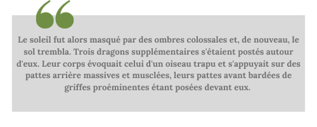 La guerrière fantôme • Lise Syven