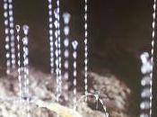 Galerie Crous Paris Phalènes Suni Prisco Février 2020