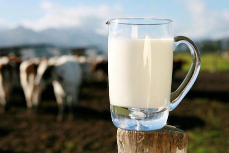 Quel lait vous convient le mieux ?