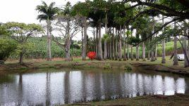 Miguel Chevalier Fractal Flower © Fondation Clément