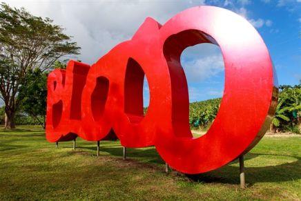 Thierry Alet Thierry Alet Blood, 250 x 700 x 60 cm2011© Fondation Clément